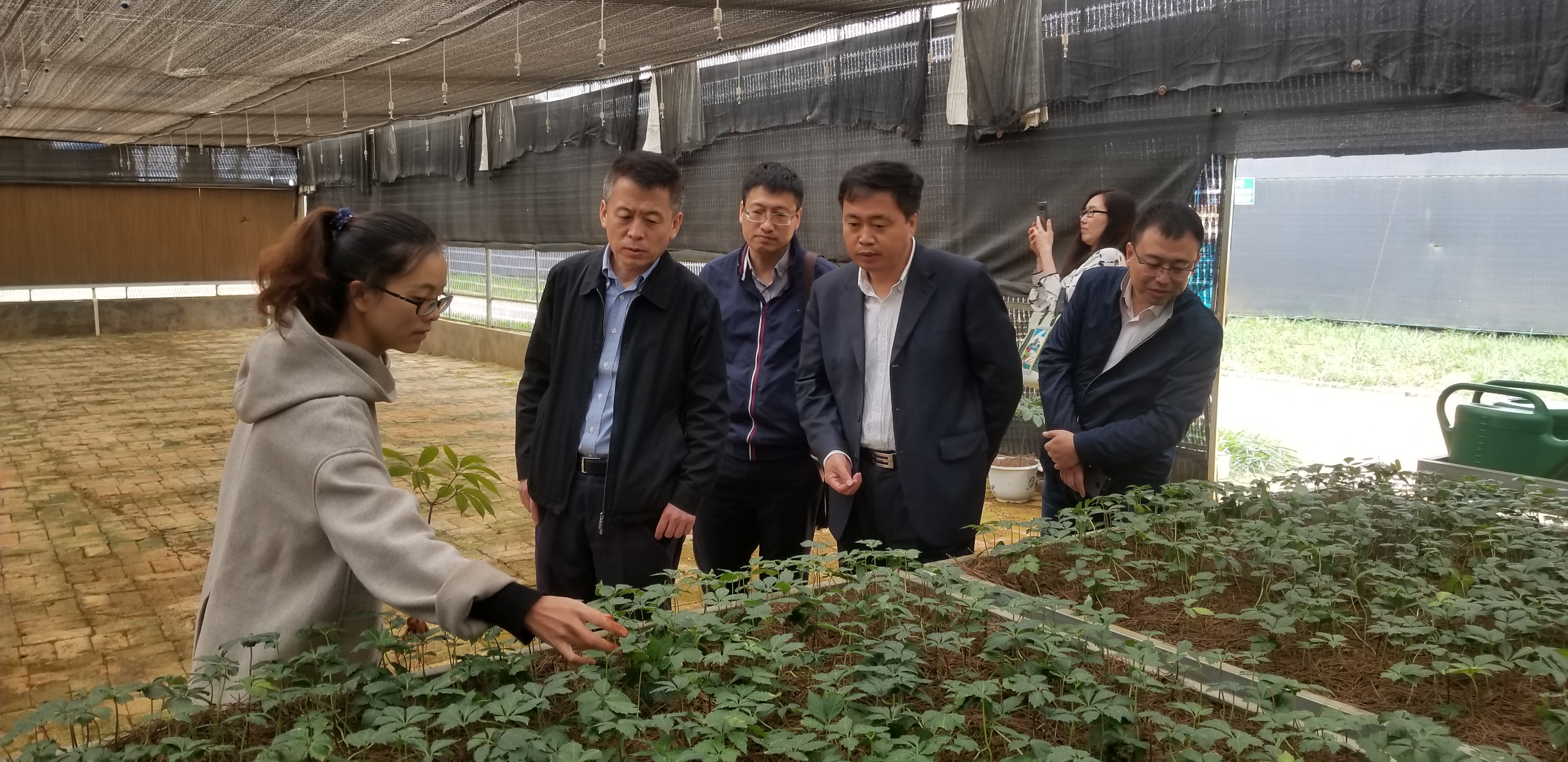 尊龙凯时人生就是搏 -官网首页