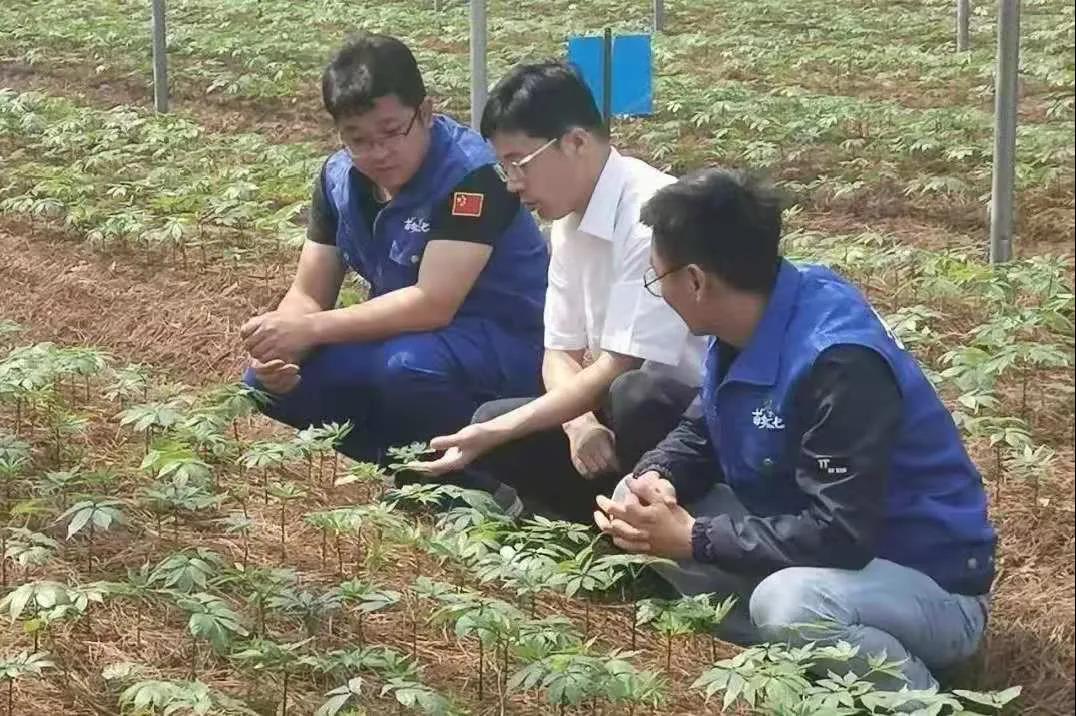 尊龙凯时人生就是搏 -官网首页